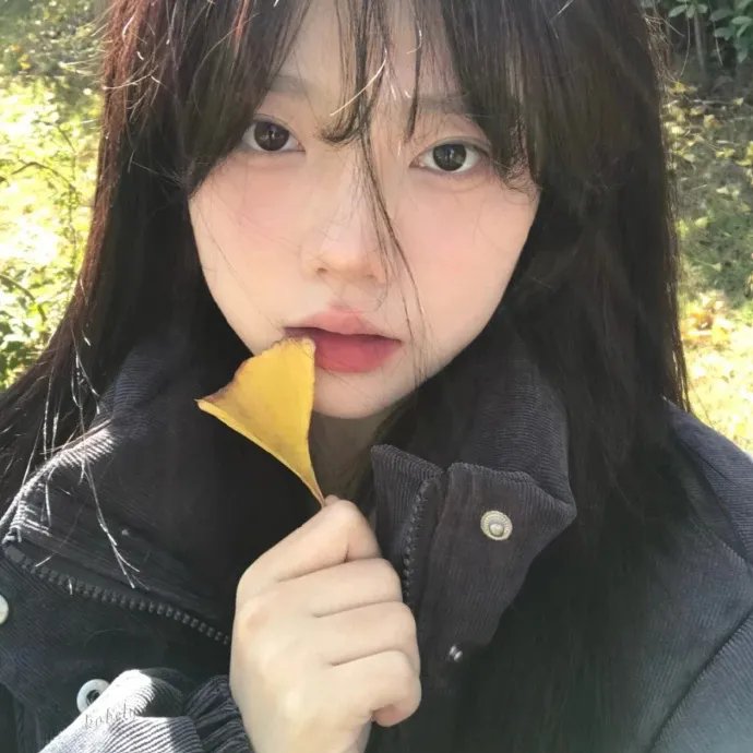 猫公主苏菲