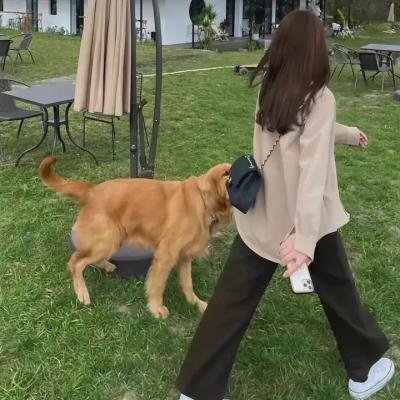 红楼劫
